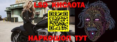 ALPHA PVP Бердск