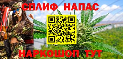 ALPHA PVP Бердск