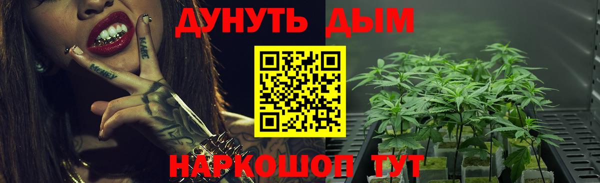 Бошки Шишки VHQ  Вход с VPN  МАРИХУАНА ГИДРОПОН  Томск  Бошки Шишки Bruce Banner 